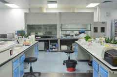 如何在檢驗科實驗室正確管理生物安全？